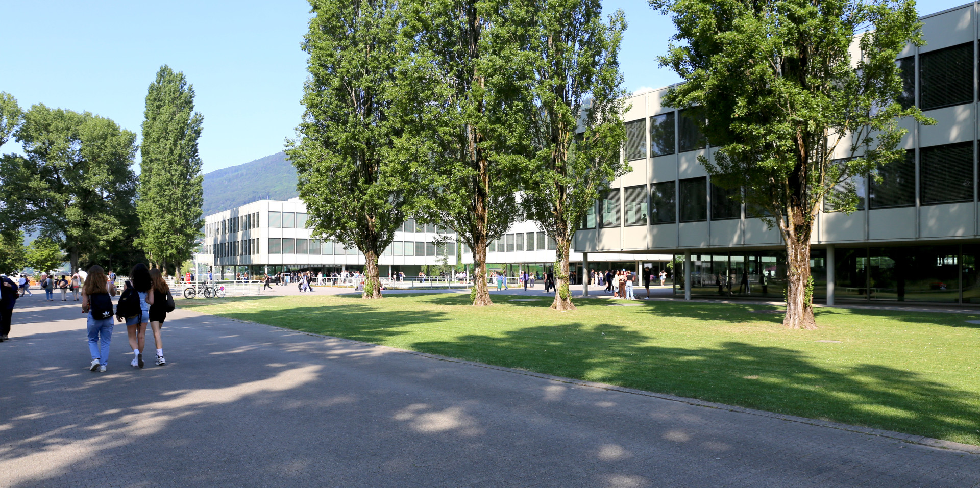 rentree